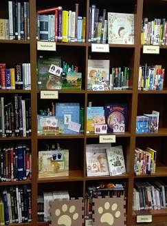 Az olvasótermekbe 2025 októberében beválogatott könyvek